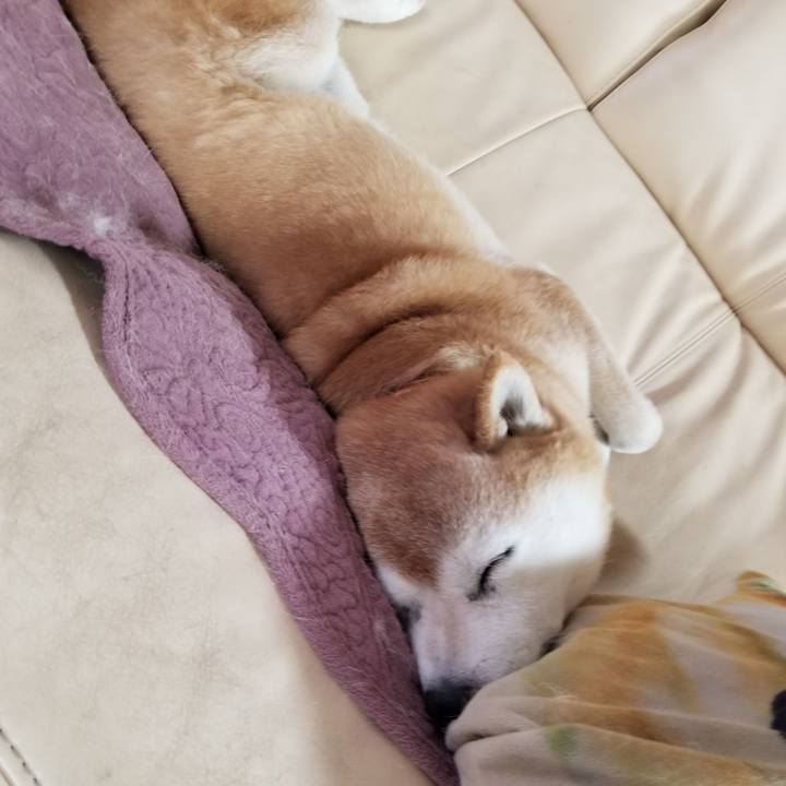 Bb52ba03 bd27 4eb2 ad84 15bcbe1dde9a 1738022445552