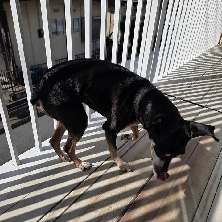 Bb52ba07 c706 4db7 9ae3 a873d3da32d8 1772335980870