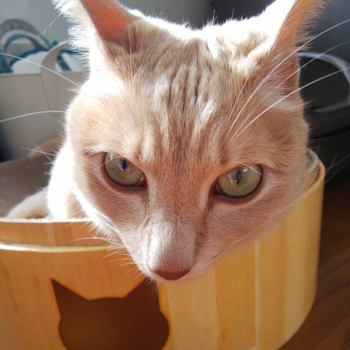 Bb52bde4 ffbd 4562 aa50 e1ff98e1fb96 1662160726676