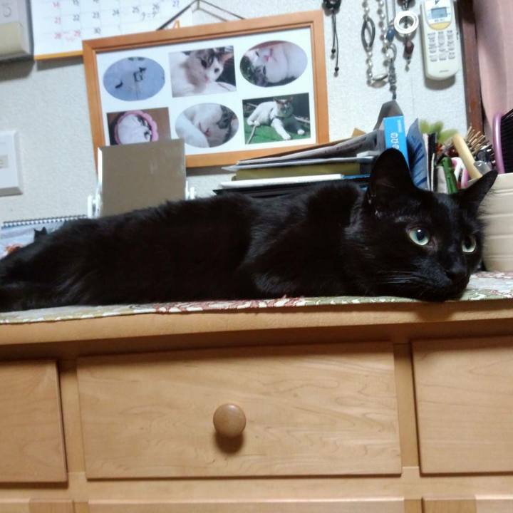 Bb52d956 373b 47b6 8527 ba5a2eaad73e 1556196795139