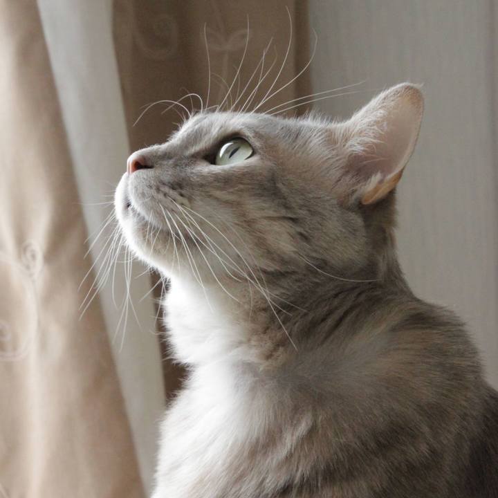 Bb52fad9 ff7e 48d1 b56b 0df1400ae811 1645801362843