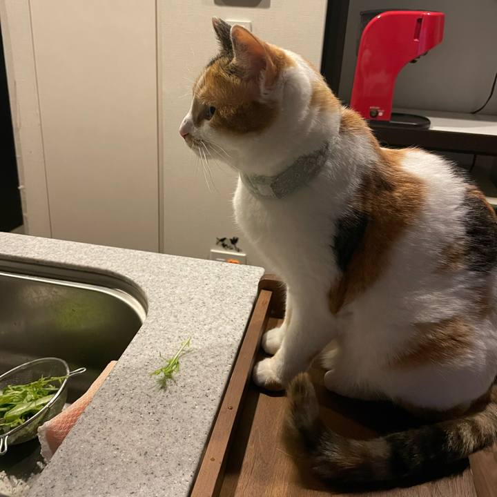 Bb52ff49 cd7f 4747 bb4e 22909e4a398f 1678018512471