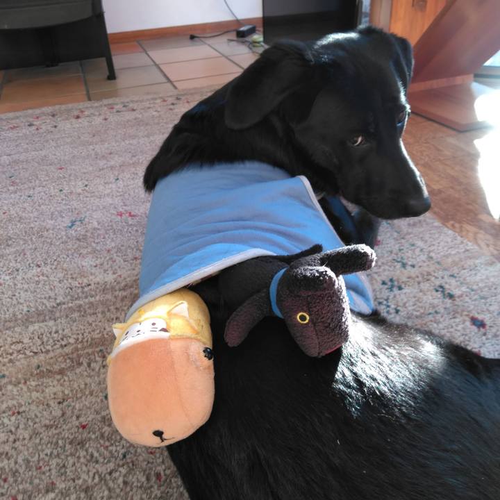 Bb53138b c2da 4ffb 90d9 4955e8895dc1 1581204011686