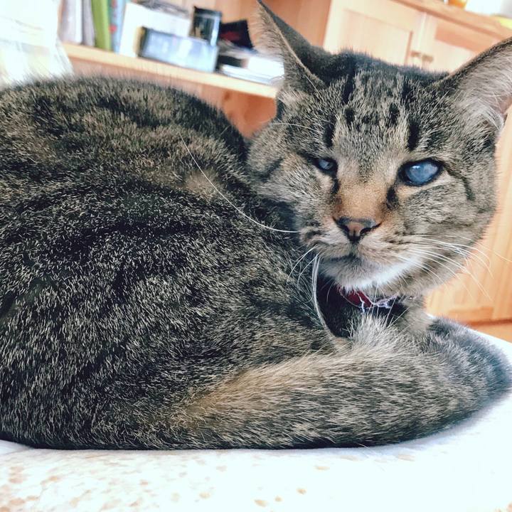 Bb534bf0 5493 48d9 8173 4cfc4a3ab7af 1518591799180