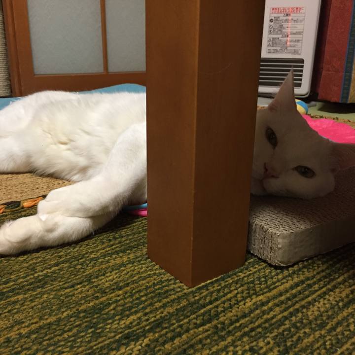 Bb534dc9 ce6b 4280 b755 acd1bd4963b4 1515853374065