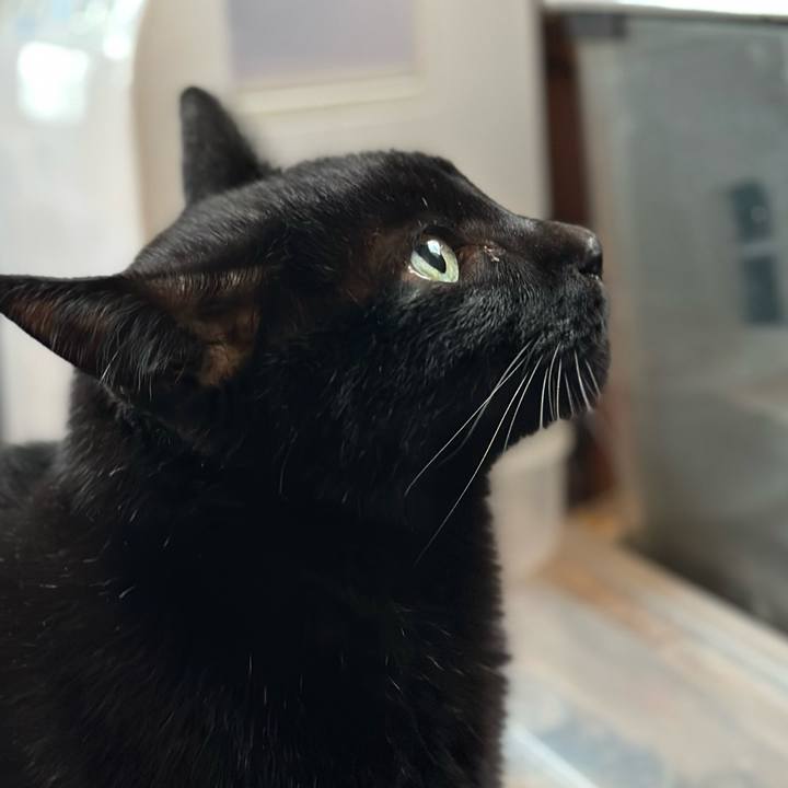 Bb535a40 593a 4ecb 8926 c72c07c218e8 1669941963829