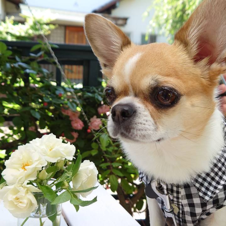 Bb535c8a 80e5 49fc 81dc 8ae51c9459a0 1683422286483