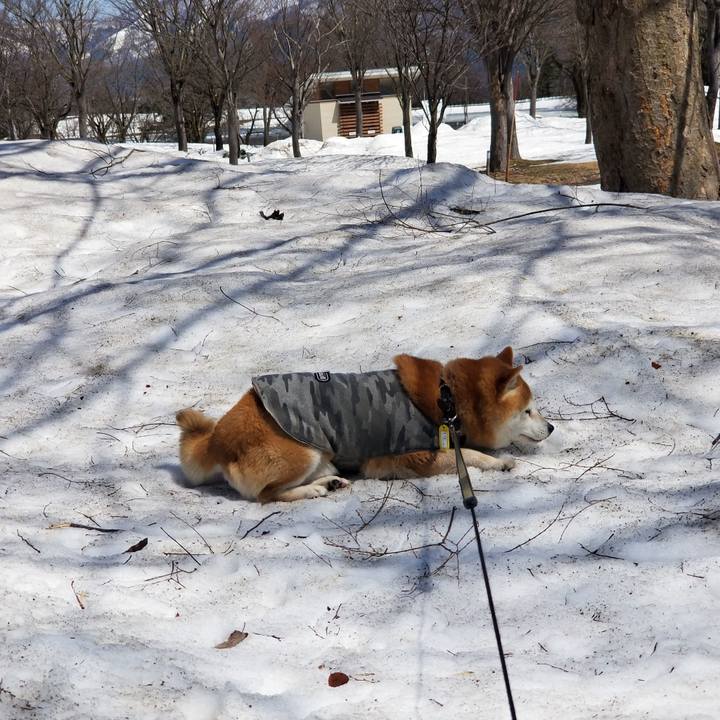 Bb5362e7 6887 47ca b137 92450f13403e 1649127735117