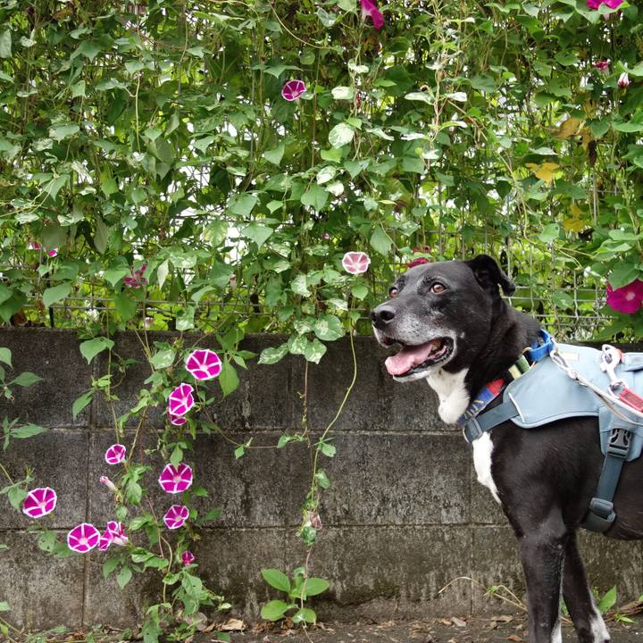 Bb53748d a6b1 4c5a 8095 e5c7ccf2477e 1727568894473