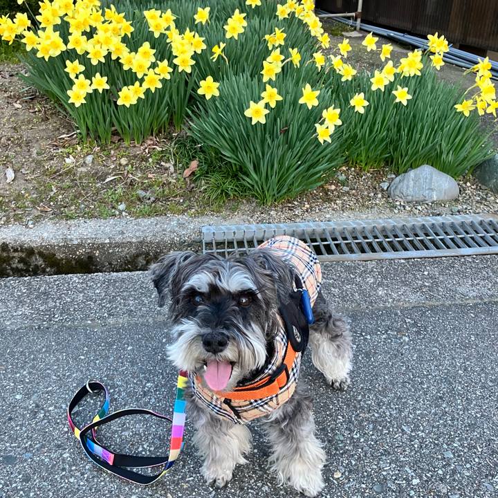 Bb53768b 158c 451c acc9 ac2df2b3d1c1 1774882450672