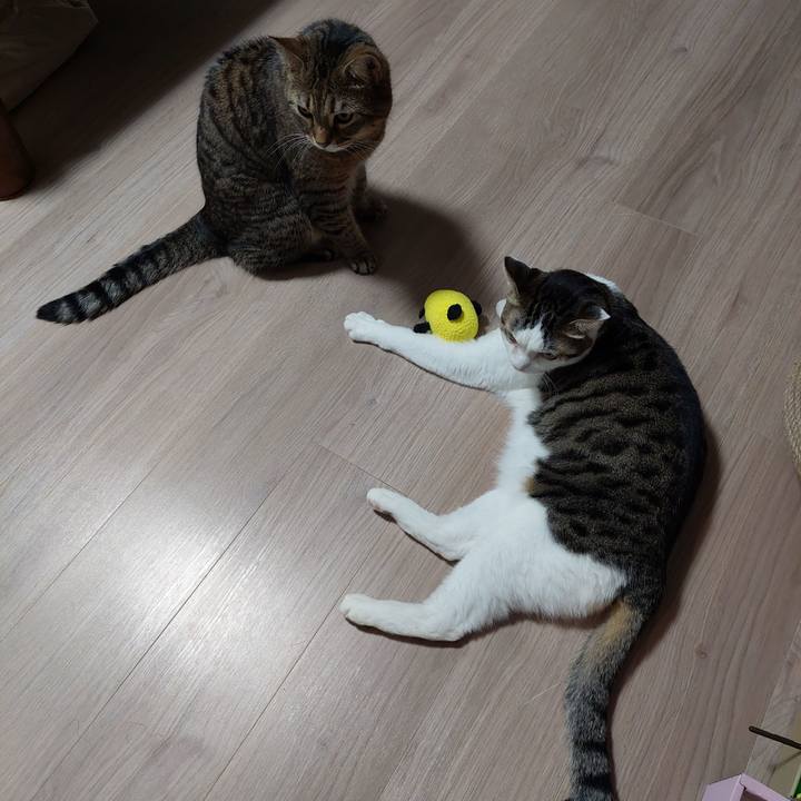 Bb53b394 1f5a 4ec4 ac6e c52ab3c2f9fe 1638995712969