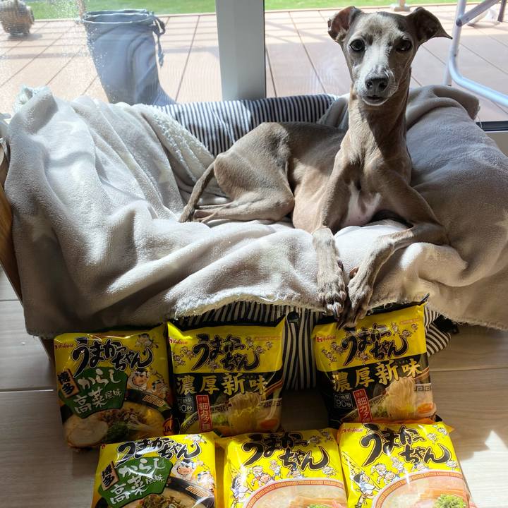 Bb53b60e e0dc 42ad 835f 8c2aeb1aa29c 1759716029351