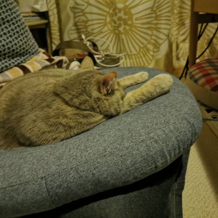 Bb53c5da 3ac4 4947 a1a3 a985914766fe 1696390722801