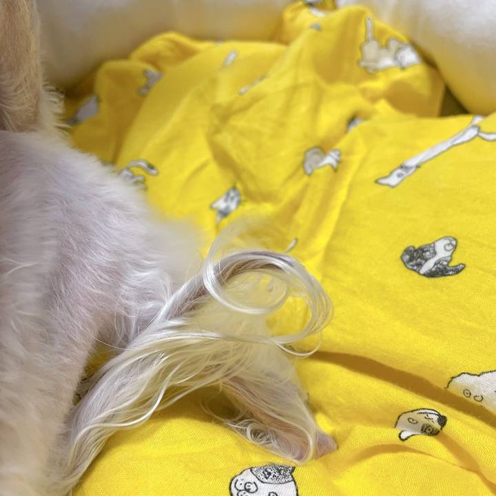 Bb53c87a 8d48 48b4 ae23 355dfb3646e8 1768213136380