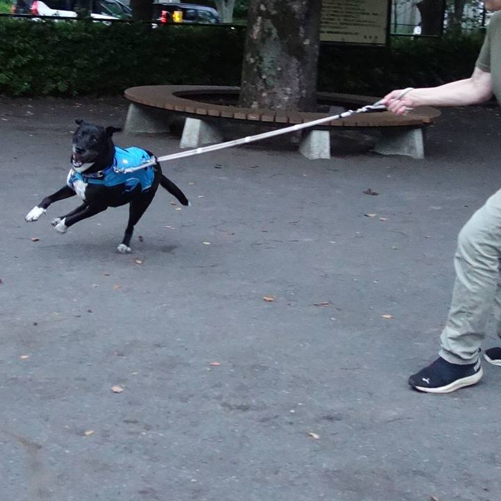 Bb53d5bb 95a9 49d1 b7d0 fd71d1df11d6 1685531784182