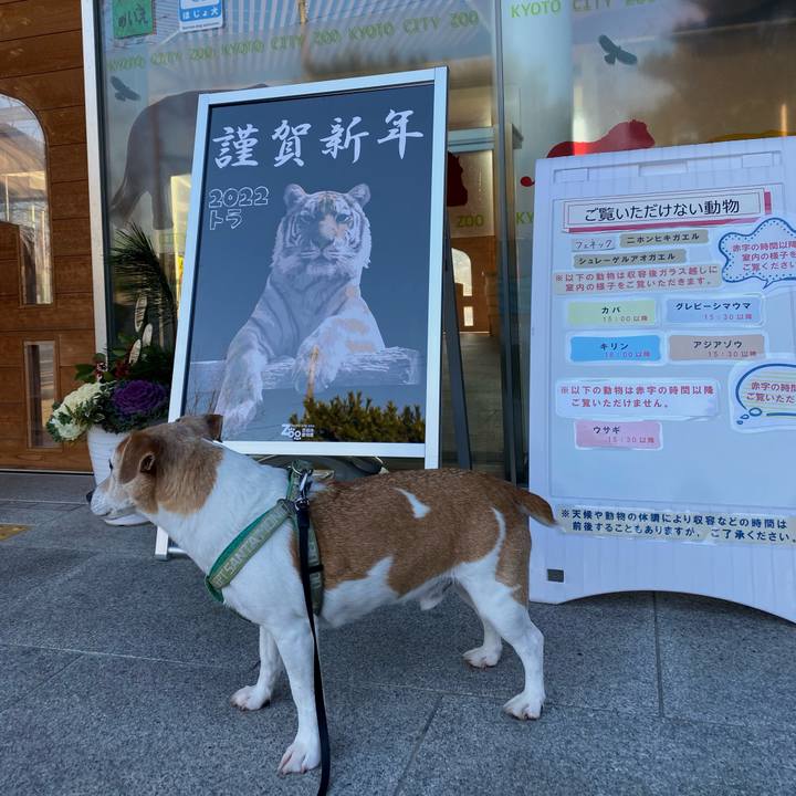 Bb53e021 b479 4da6 914c a2b29c7b78ff 1641082481965