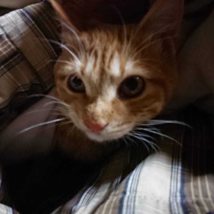 Bb53ea21 45e4 44de babf 29f641177007 1638822928180