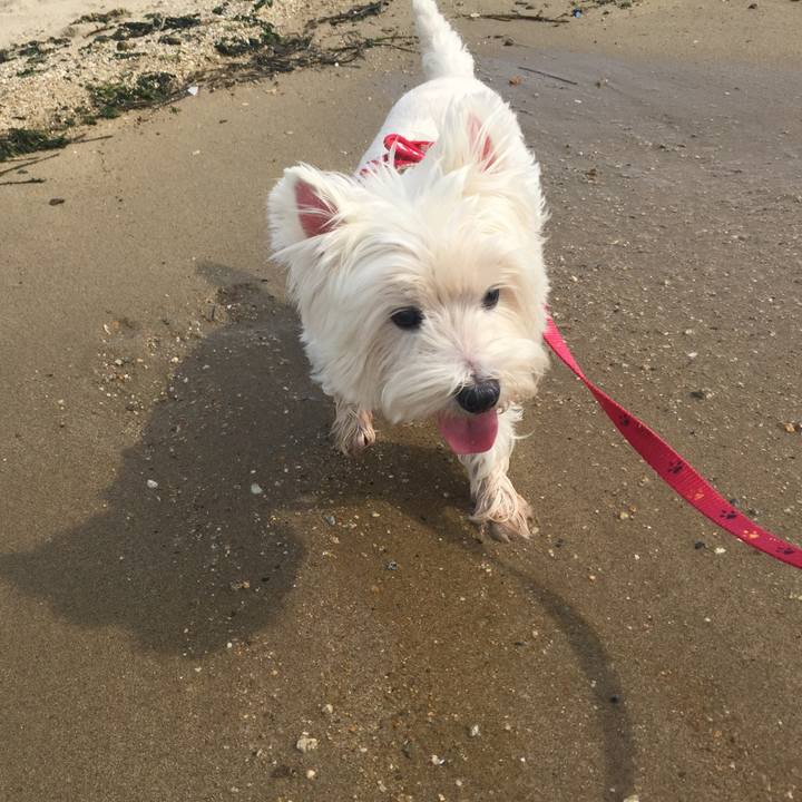 Bb5432f9 9b3a 4e31 b06c cb9648c0a7a6 1509602209897