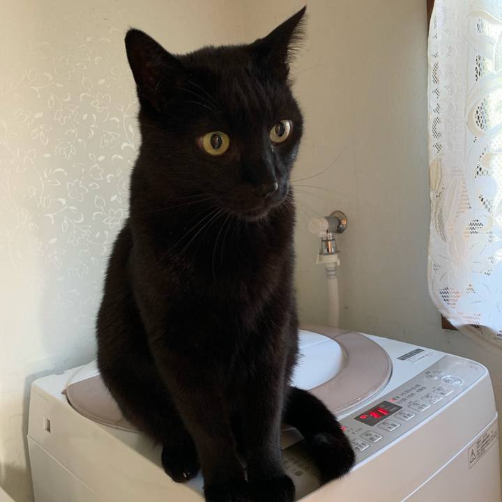 Bb545602 25d4 40c4 8b83 13bf4f58a566 1557449437462