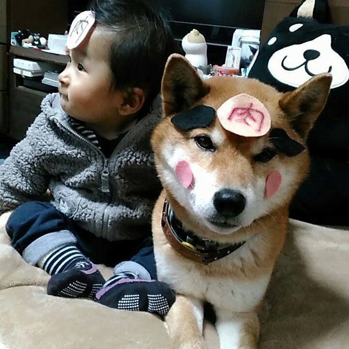 Bb549237 e31c 4d3f bf9e 744870bcf858 1553827283804