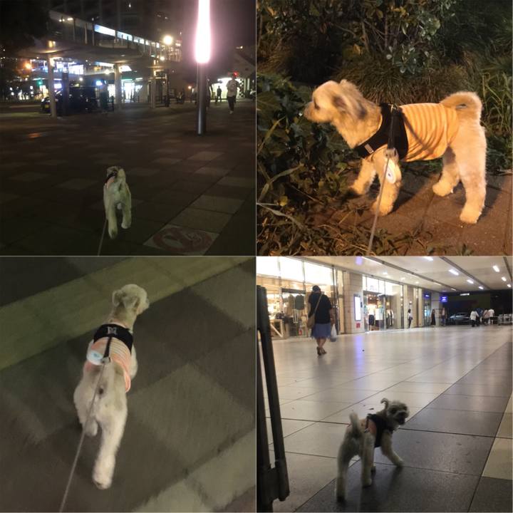 Bb54fcc7 8f26 4ac0 a62c f90a7d1520e1 1535194132569