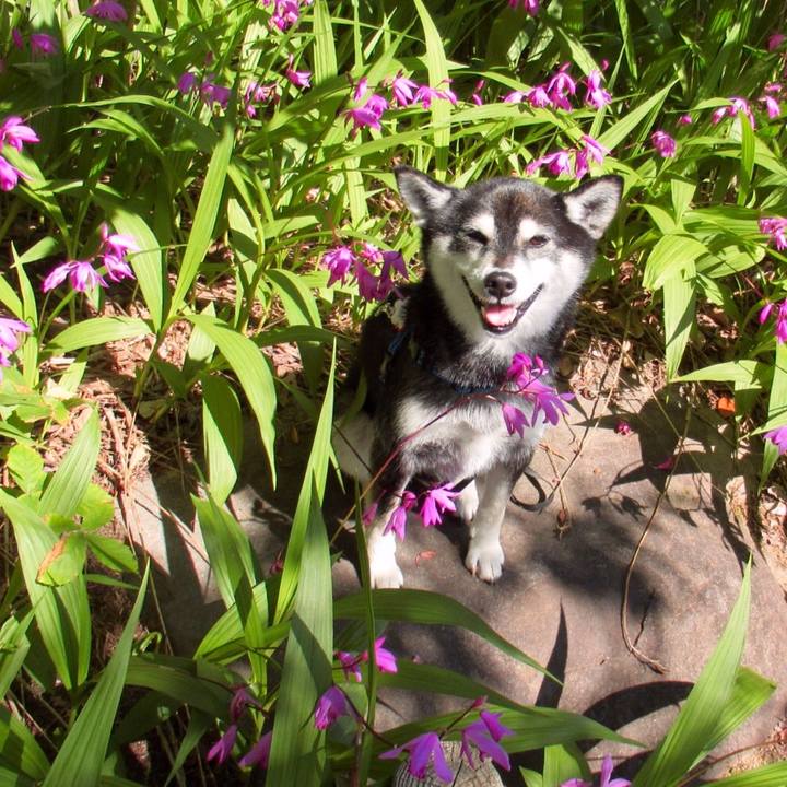 Bb552acb bc70 4727 9b2e 5d24a5ecf5f1 1622427825566