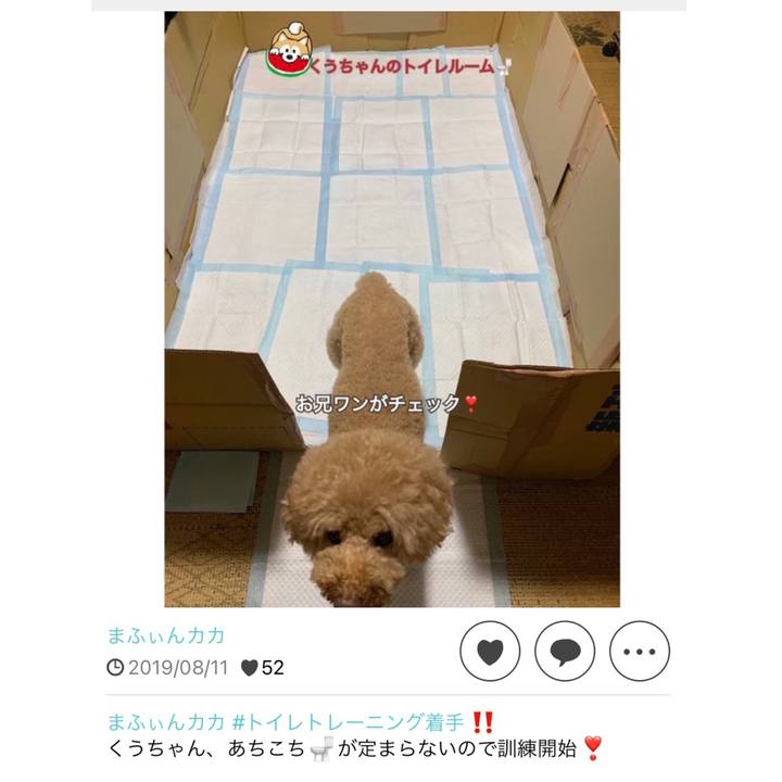 Bb553e34 f689 42c0 bfa5 bcc4959d873c 1723380811583