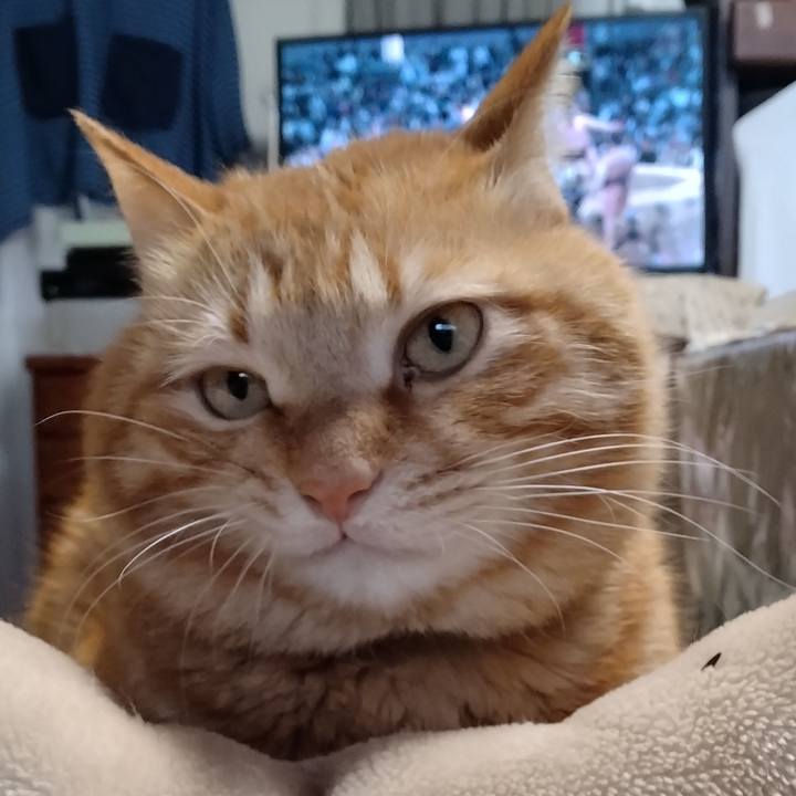 Bb557633 6107 4bf0 847a 1fcc18d196e2 1710573260872