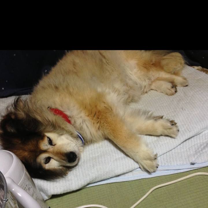 Bb557bc6 bb2f 4a68 b7a3 a3606a736a22 1581040725890