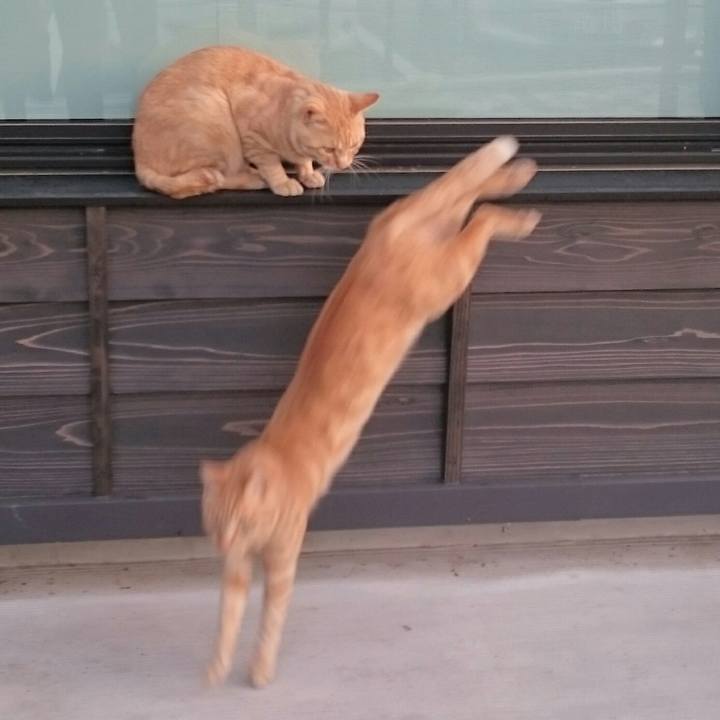 Bb558f01 9175 4999 b898 639eda667268 1529391613329