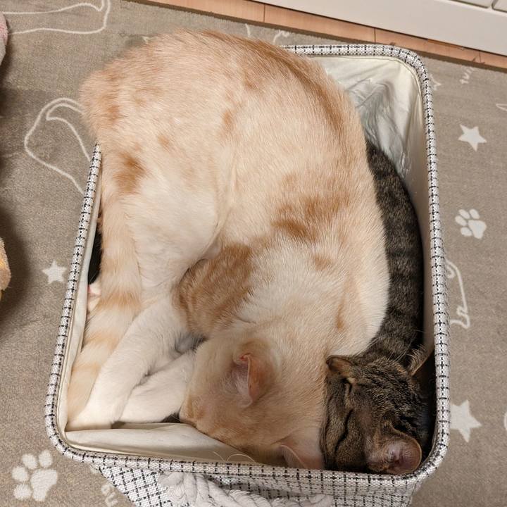 Bb55a4fd b00e 4c32 9e2c 822bfc99939b 1711547047214