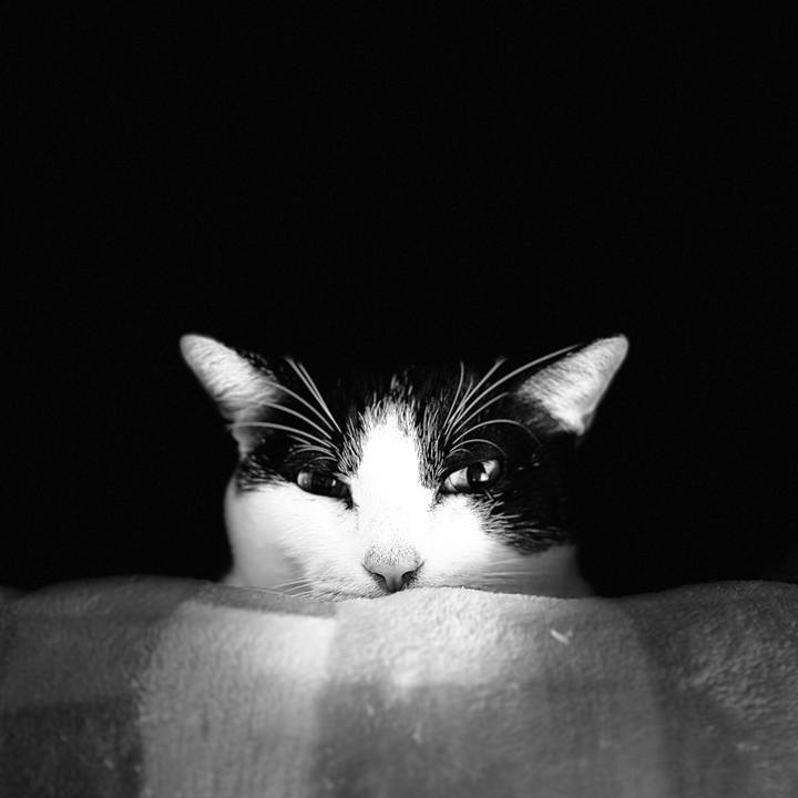 Bb55b267 4810 499a 85ff de8b0a2b2ee0 1697764229078