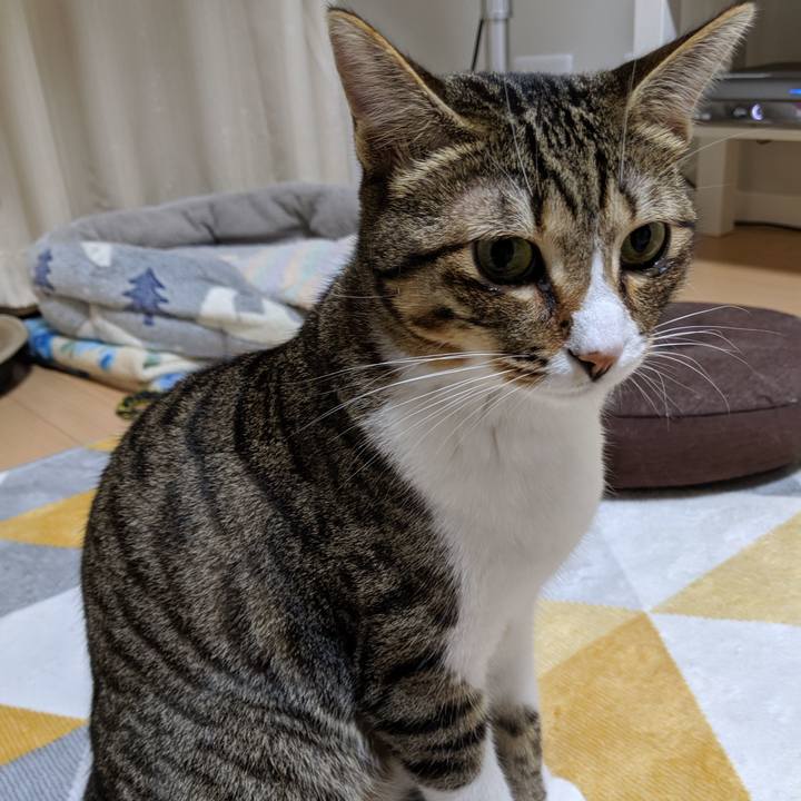 Bb55d697 7c9e 4b5b ab4d 1f8c70e74af0 1565778707800