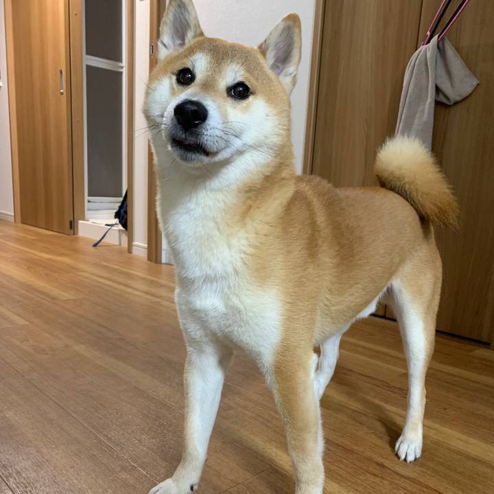 Bb55f81a 174d 4214 a61a 3c20ae0a1446 1571402080748