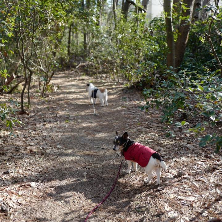 Bb563c8e 811e 4a68 8a2f 2b544b624b54 1554266404100