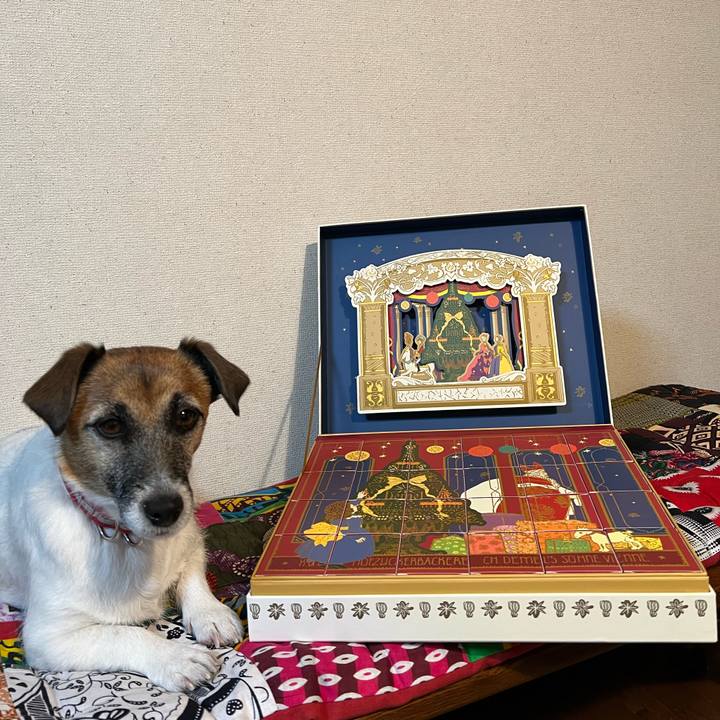 Bb5670c7 69ea 4308 8751 cca3f6b4f975 1703420333567