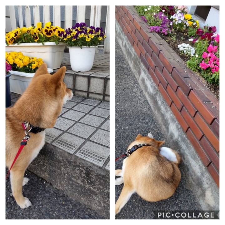 Bb56796a 639a 4906 9837 9211aeb6f744 1649713623441