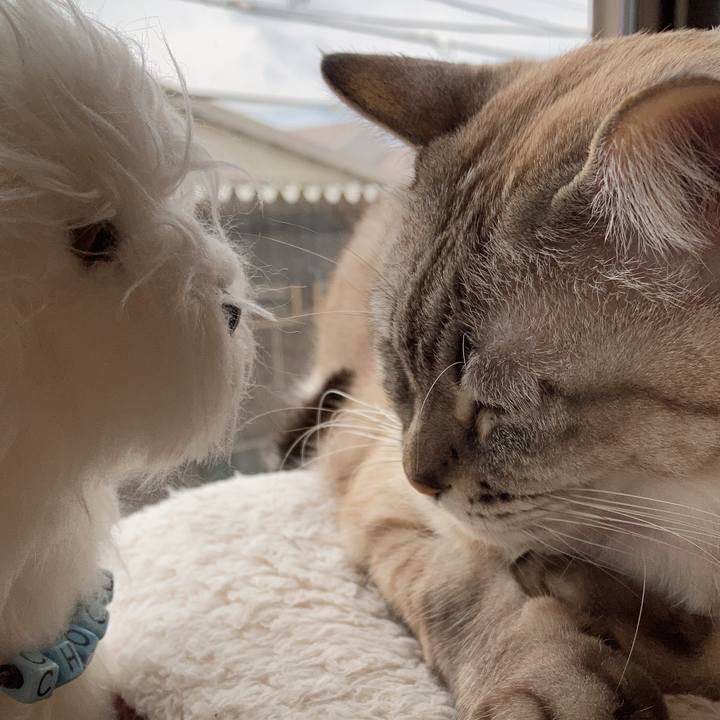 Bb56a34a e662 47c8 bd91 ef1be49aa1ba 1674488583459