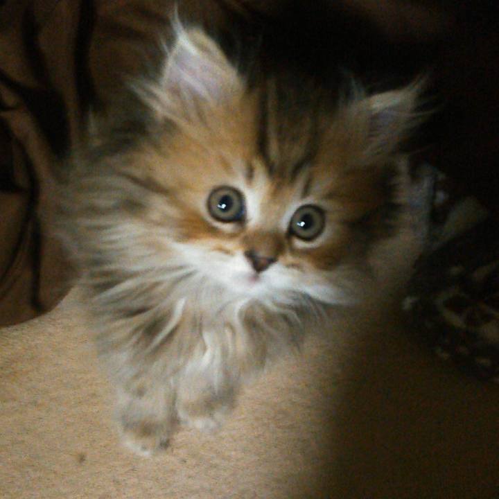 Bb56c88d 7a30 4583 ac35 b6d2f3c51fb8 1620362485496