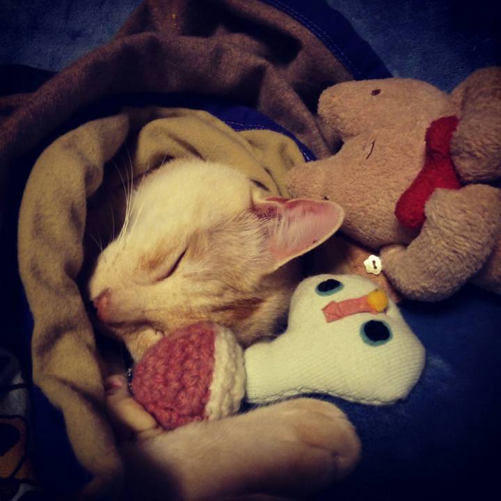 Bb570440 8d84 4bb0 ac8d 273eccba02e6 1509807904841