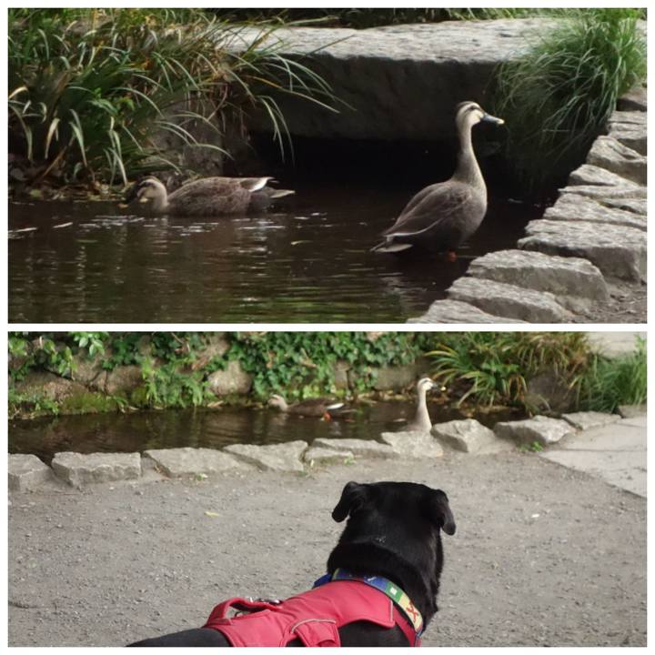 Bb57265c bac3 4a8f ab98 400961ccc4a4 1683420007345