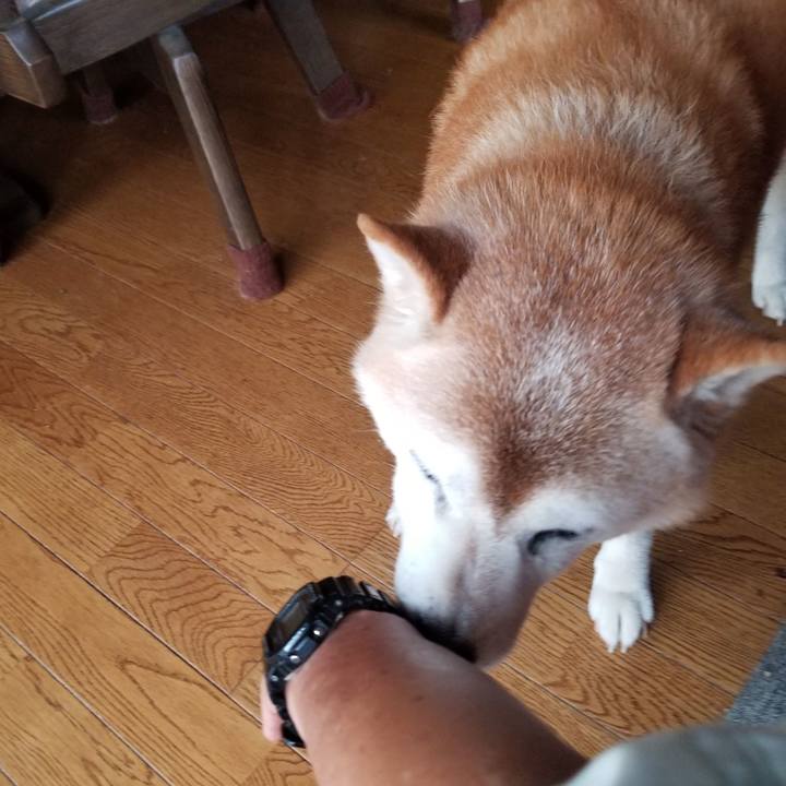 Bb573e61 bd0f 4f83 981a e39bb6db85c4 1724984830299