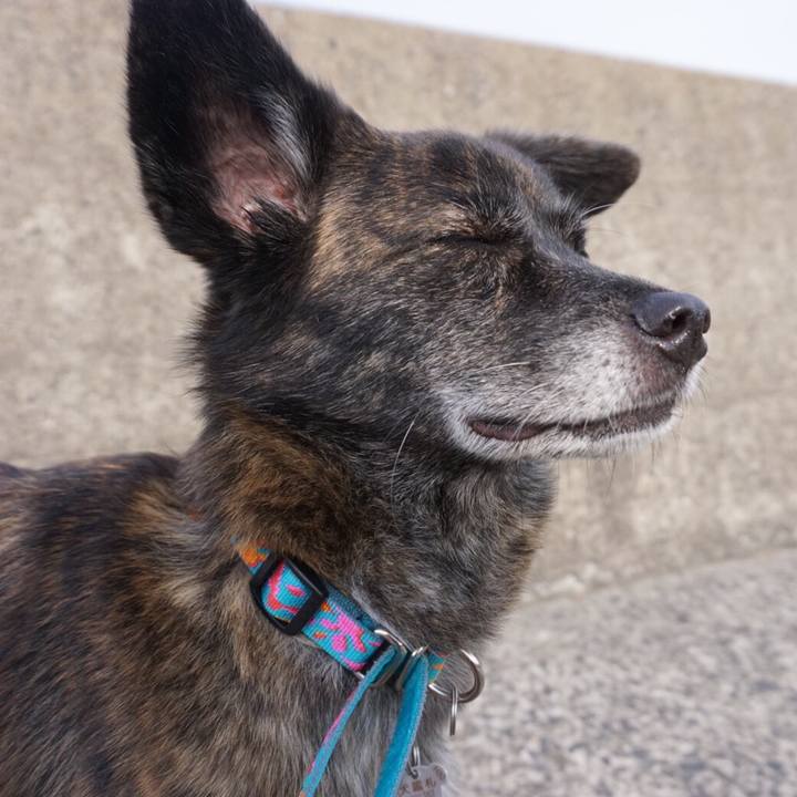 Bb574159 c54b 4a44 b2a4 0d56c67b0e95 1560903381819