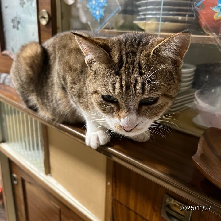 Bb574c43 062b 4eb1 b80d 5ce83cade66b 1764195628985