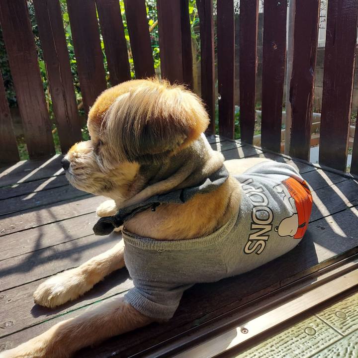 Bb5796d1 ade4 4d29 94f8 8a3edc664a6f 1646706299408