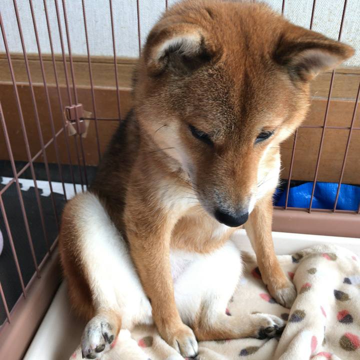 Bb57b441 e3a8 40c0 9ede b3ef948692c8 1525648313363