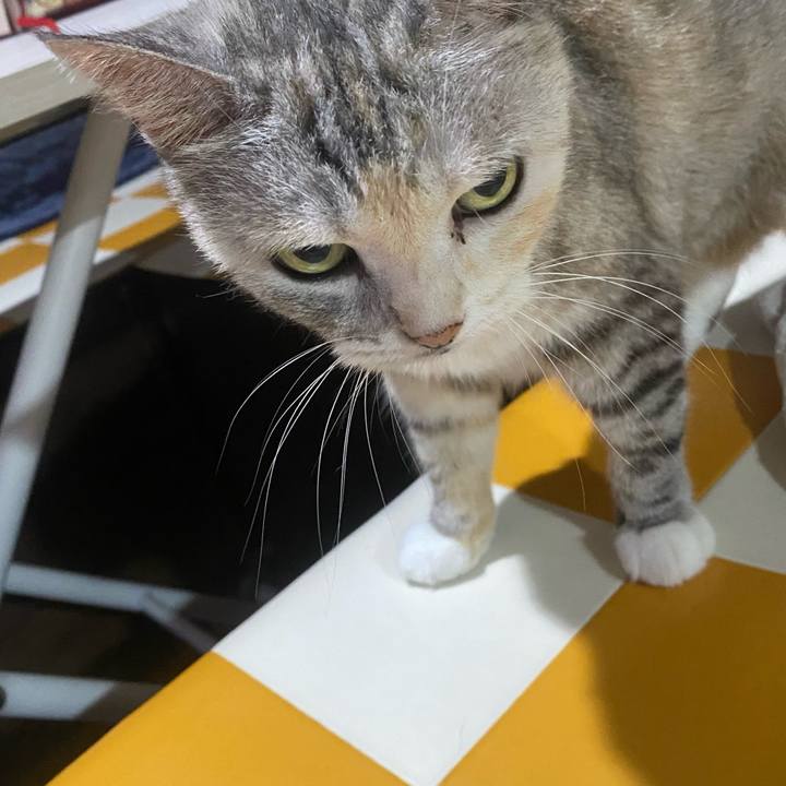 Bb57ea81 bcee 4d77 b2aa 58cd0e38f7a5 1758059629576