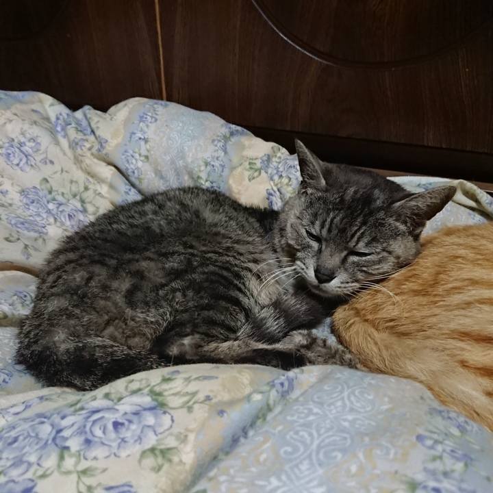 Bb5811bb ecc4 4f9e aa7f f5fcbecb8771 1590754353827