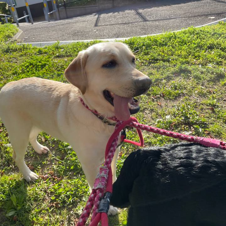 Bb581c75 d99b 4632 9923 3e91540744cc 1649429167406