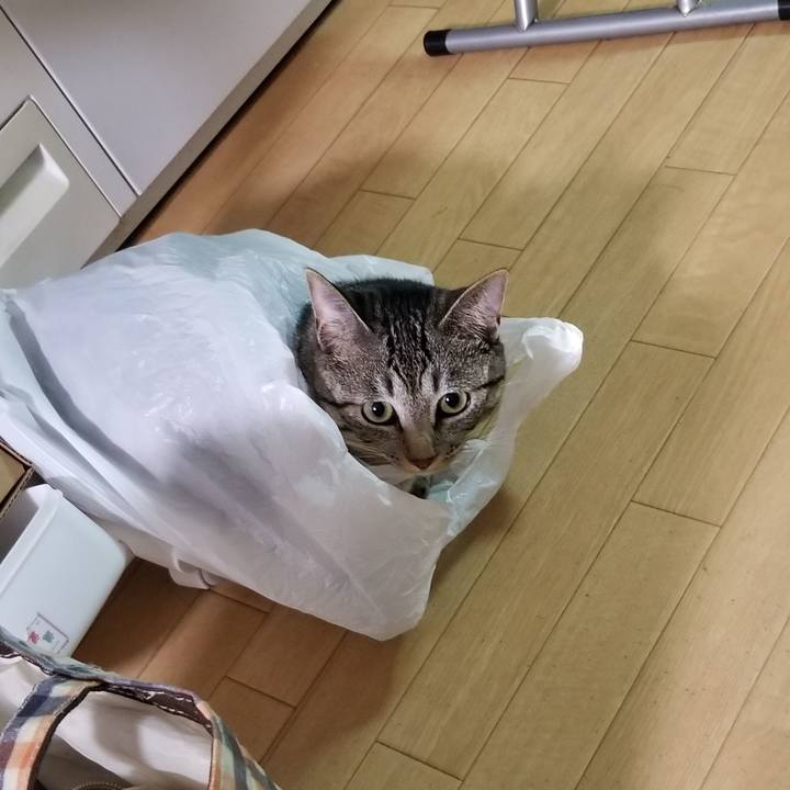 Bb581ca0 6d79 4061 bcc4 190756250d09 1692153476806